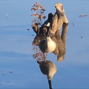 Meet your Posher, Tooma